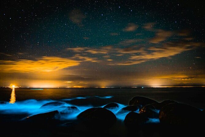 Bioluminescence Kayak Tour at Fort Flagler State Park - Final Thoughts: Is It Worth It?
