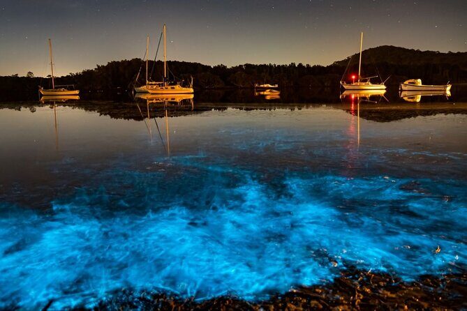 Bioluminescence Kayak Tour at Fort Flagler State Park - FAQs