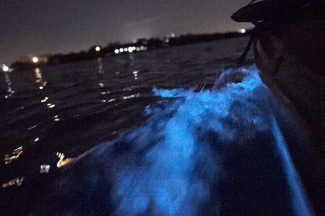 Bioluminescence Kayak Tour - FAQ