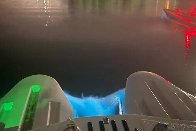 Bioluminescence Night Craigcat Tours - Key Points