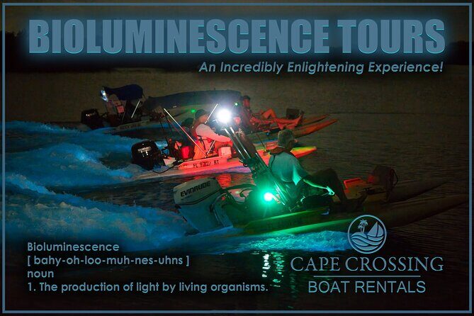 Bioluminescence Night Craigcat Tours - Practical Details You Should Know