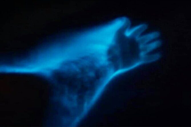 Bioluminescence Night Craigcat Tours - Who Should Consider This Tour?