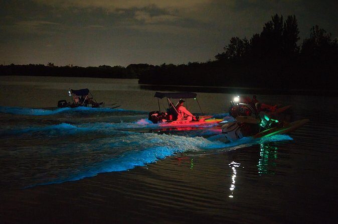 Bioluminescence Night Craigcat Tours - FAQ