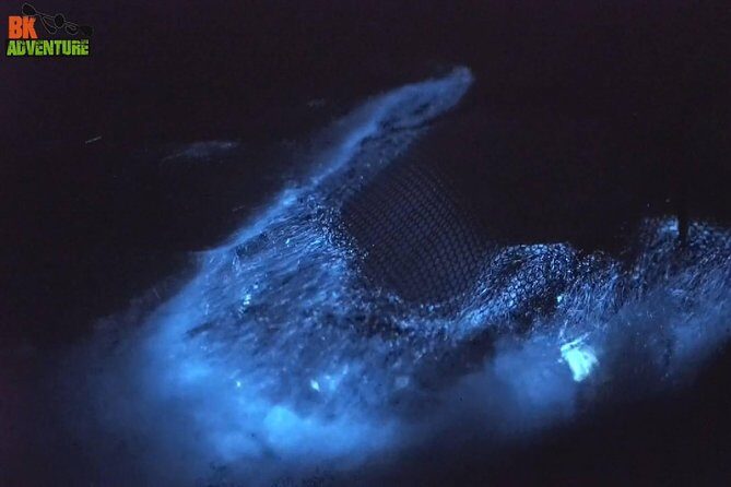 Bioluminescence Night Kayaking Tour of Merritt Island Wildlife Refuge - Who Would Love This Tour?