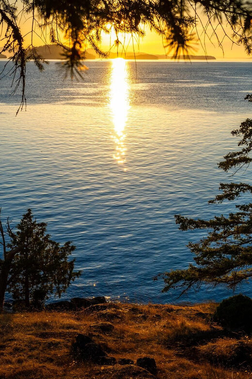 Bioluminescence Night Paddle - Key Points