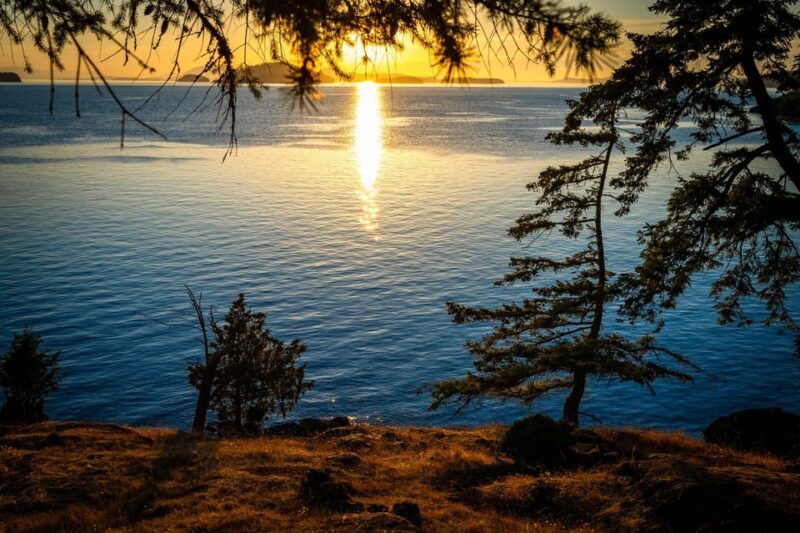 Bioluminescence Night Paddle - The Experience in a Nutshell