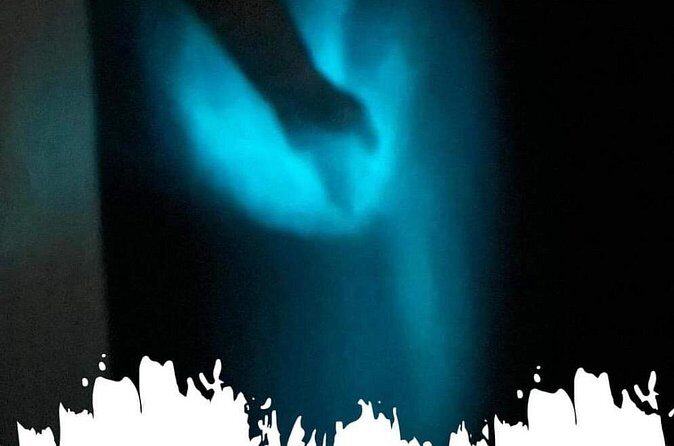 Bioluminescence swim with stars - Who Should Consider This Tour?