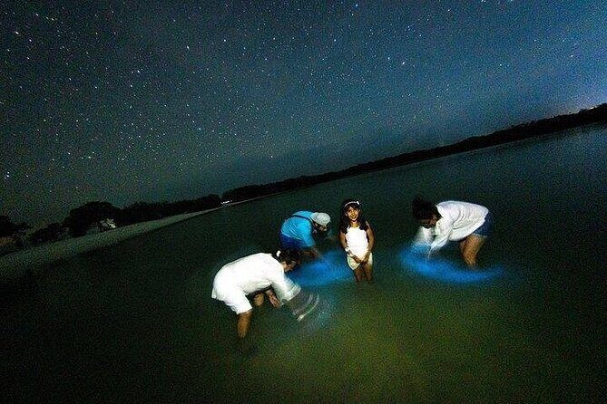 Bioluminescence Tour by Car at Holbox - Key Points