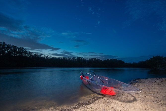 Bioluminescent Clear Kayak Tours in Titusville - The Itinerary in Detail