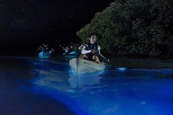 Bioluminescent Kayak Tour by THE #1 Rated Company in Cocoa Beach - The Experience in Detail