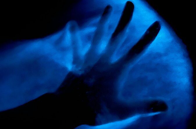 Bioluminescent Kayak Tour in Floridas Indian River Lagoon - Frequently Asked Questions (FAQs)