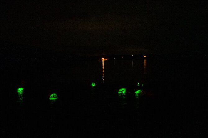 Bioluminescent Swim Experience in West Cork with Storytelling - Key Points