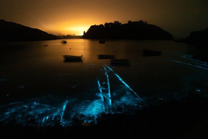 Bioluminescent Swim Experience in West Cork with Storytelling - What Makes This Tour Stand Out