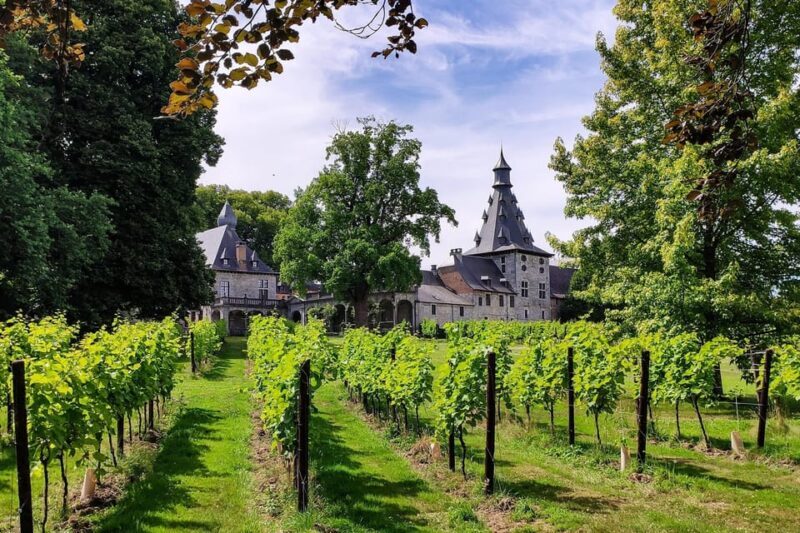 Bioul (near Dinant) : Château de Bioul Tour and Wine Tasting - The Experience: Pros and Cons