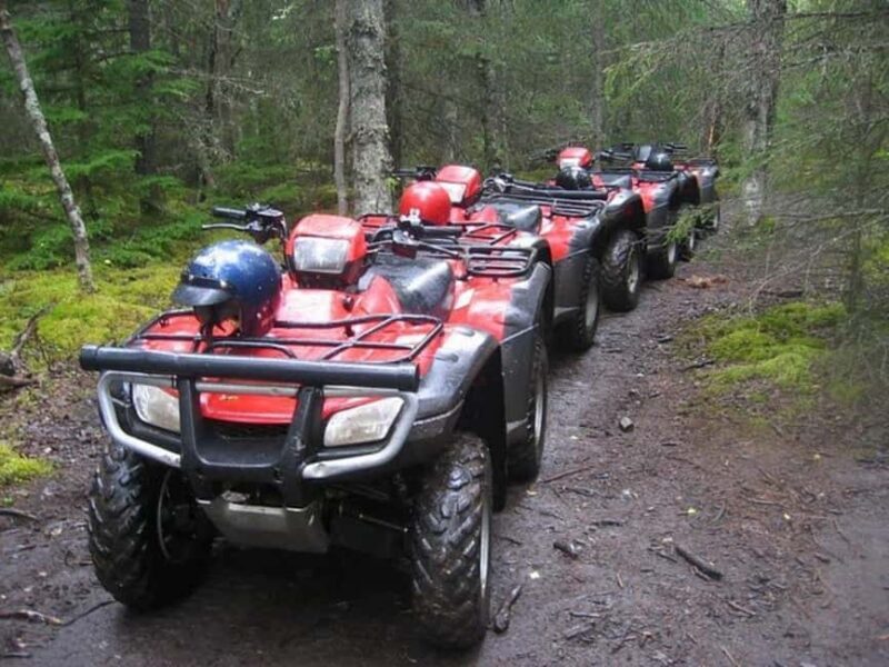 Bird Creek: Chugach State Park ATV Nature Tour & Hike - Key Points