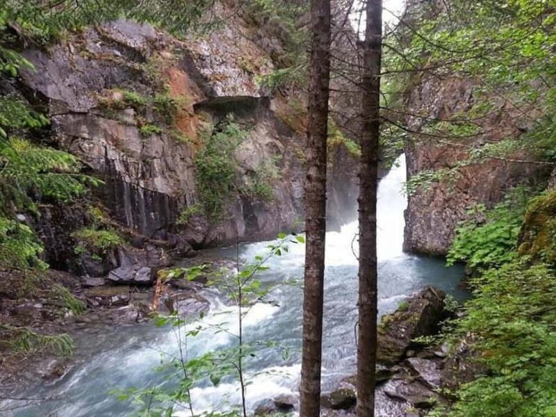 Bird Creek: Chugach State Park ATV Nature Tour & Hike - Who Is This Tour Best For?