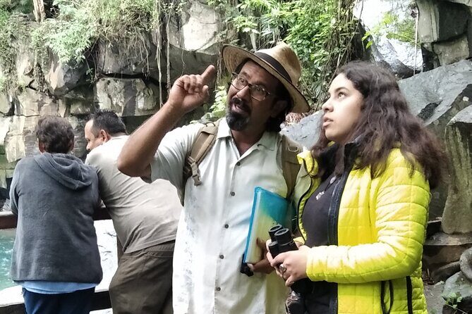 Bird Observation in the National Park of Uruapan. - Key Points