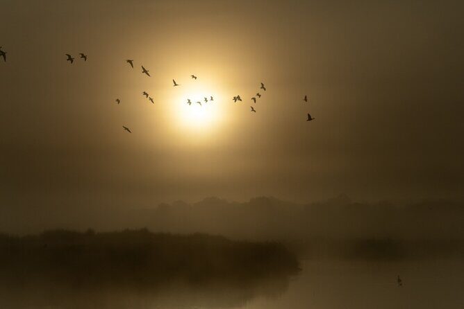 Bird watching and photography around Bathurst, Australia - FAQs
