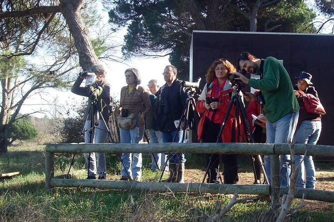 Bird Watching in Albufeira Lagoon - What the Tour Includes