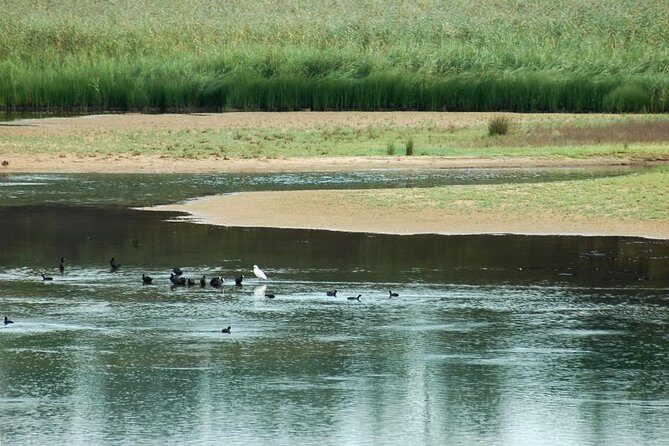 Bird Watching in Albufeira Lagoon - Cost and Value