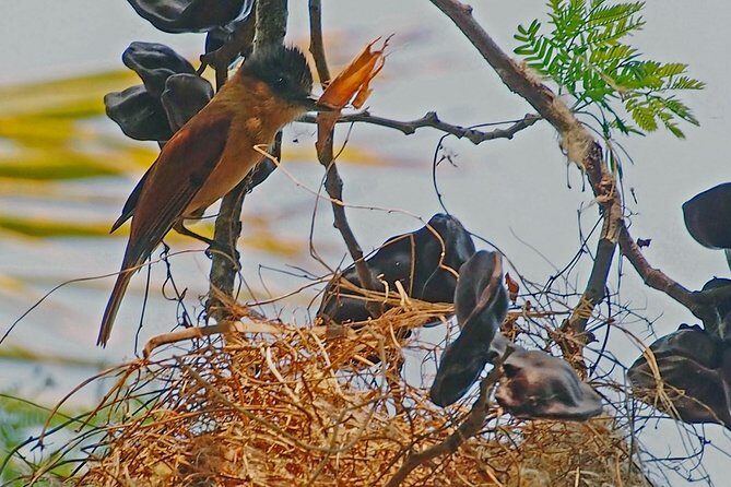 Bird watching in La Mancha - The Sum Up