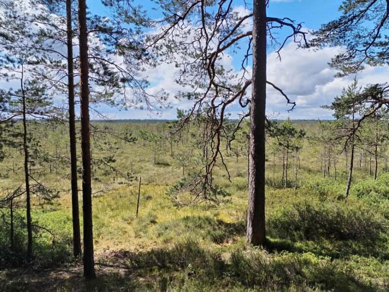 Bird Watching tour in Natural Park near Riga (Latvia) - Final Thoughts