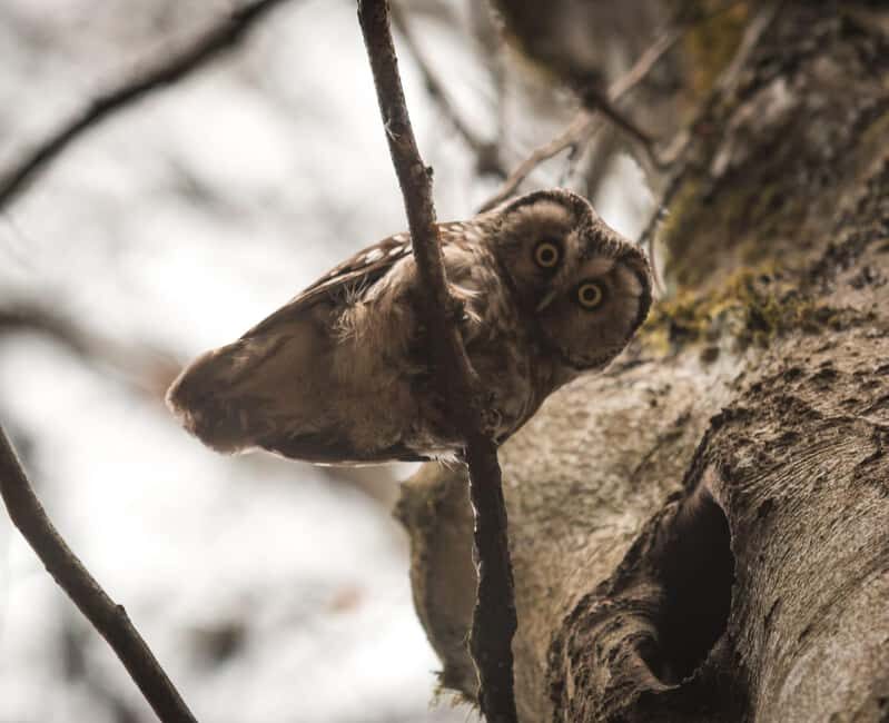Bird Watching tour in Natural Park near Riga (Latvia) - FAQs