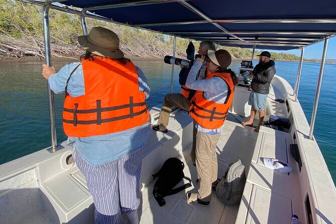 Birding By Sea and Land 4hr. La Paz Mexico - Exploring La Paz’s Birdlife: A Close-Up Look at the Sea and Land Tour