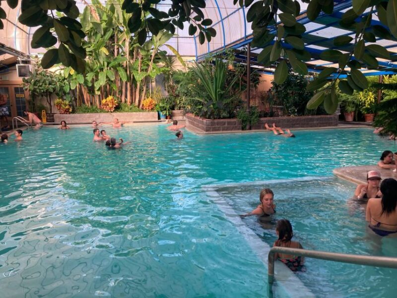 Birding Hike and Hot Spring Soak from Denver - Wildlife and Ecology Focus