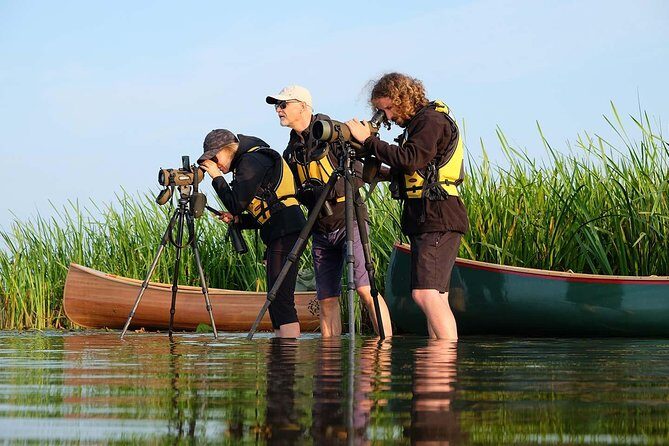 BIRDWATCH - Premium guided canoe tour at Cape Vente, Nemunas Delta Regional Park - Key Points