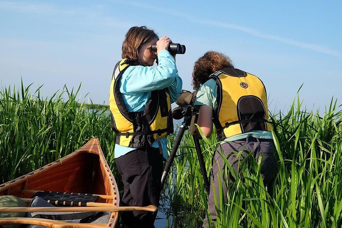 BIRDWATCH - Premium guided canoe tour at Cape Vente, Nemunas Delta Regional Park - Discovering the Experience