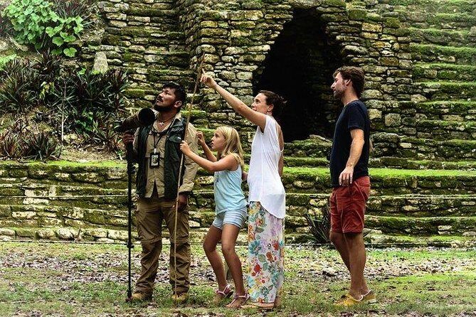 Birdwatching at The Mayan Cities with certified guide - The Mayan Ruins and Natural Surroundings
