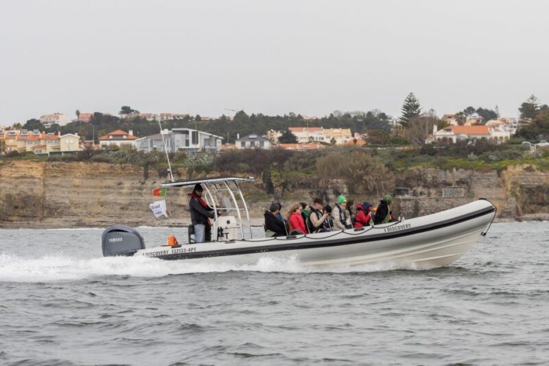 Birdwatching Boat Tour in the Tagus Estuary - The Sum Up