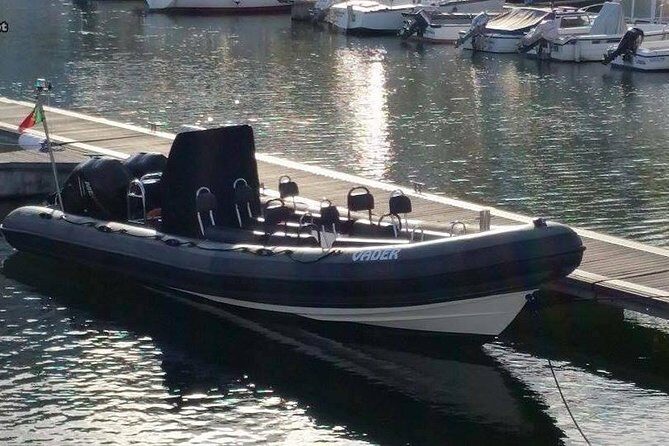 Birdwatching Boat Tour so close to Lisbon - The Sum Up