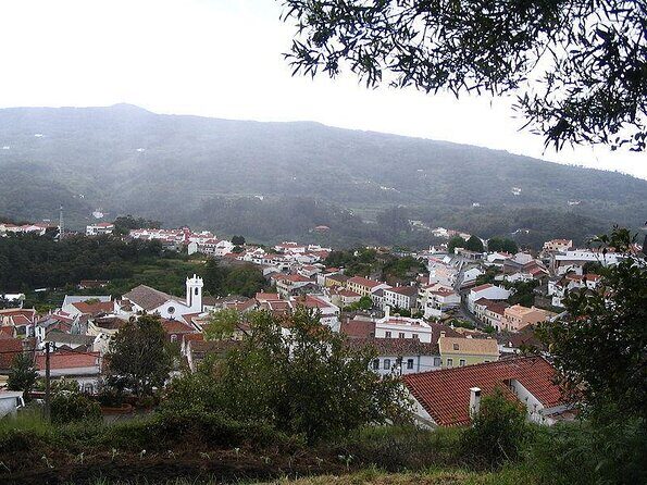 Birdwatching day in the Monchique hills - Transportation and Comfort