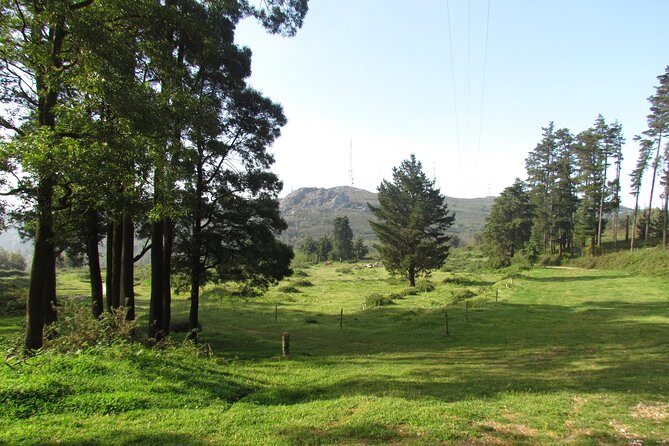 Birdwatching day in the Monchique hills - Who Will Appreciate This Tour?