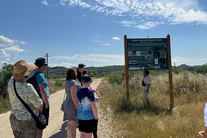 Birdwatching Experience in Narte Lagoon & Akerni Dunes - Practical Tips and Considerations