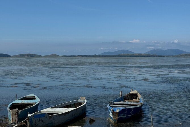 Birdwatching Experience in Narte Lagoon & Akerni Dunes - Who Should Consider This Tour?