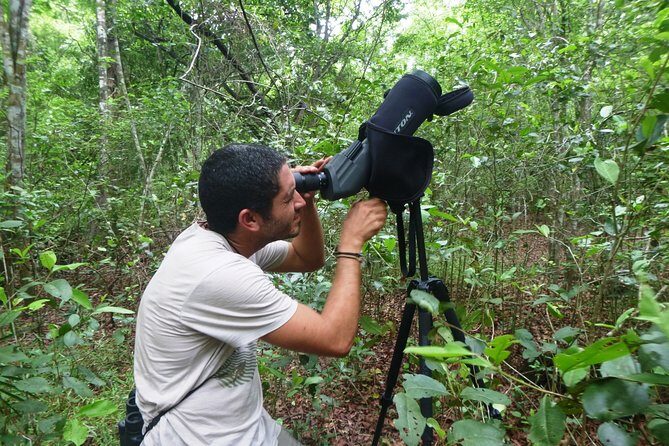 Birdwatching in Sian Ka´an Muyil from Tulum - Shared Group Tour - FAQs