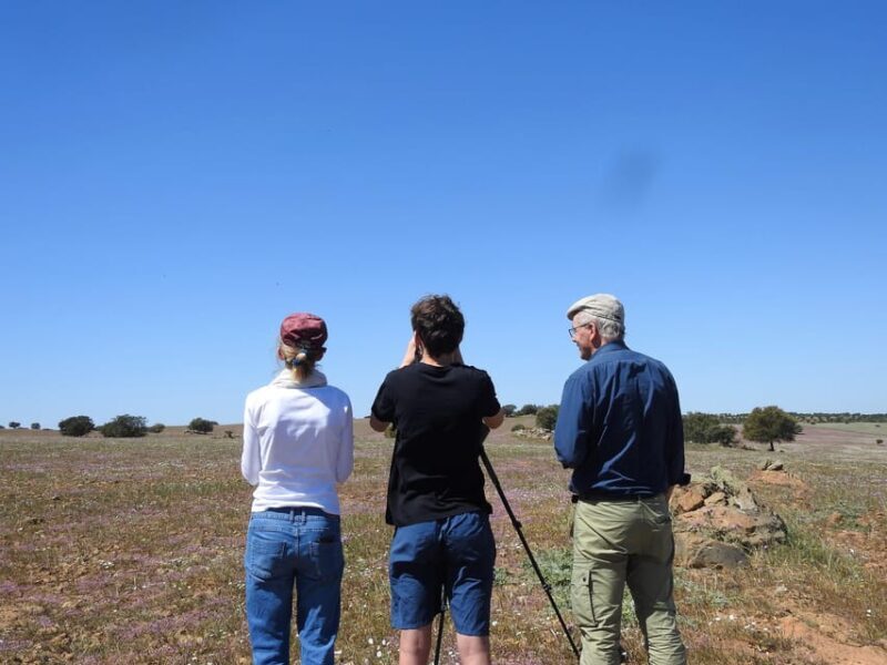Birdwatching tour in Mértola and Castro Verde region - Final Thoughts: Is This Tour for You?