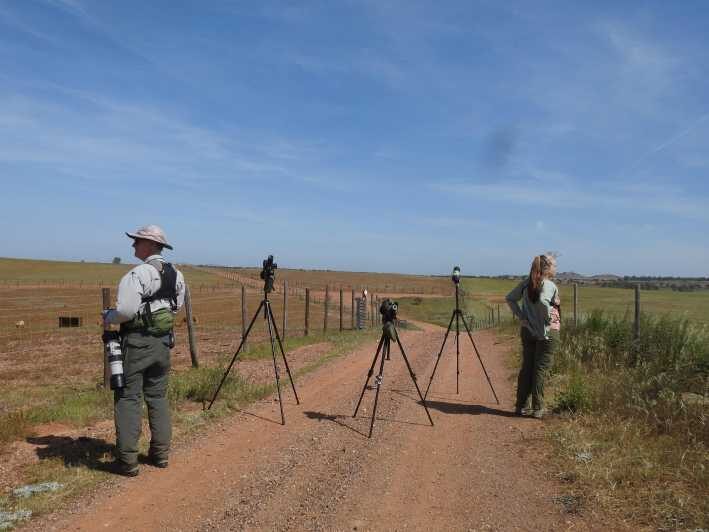 Birdwatching tour in Mértola and Castro Verde region - FAQs