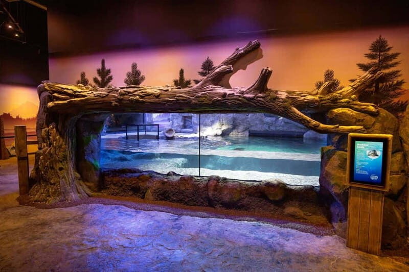 Birmingham: National Sea Life Centre Entrance Ticket - What You Can Expect from the Experience