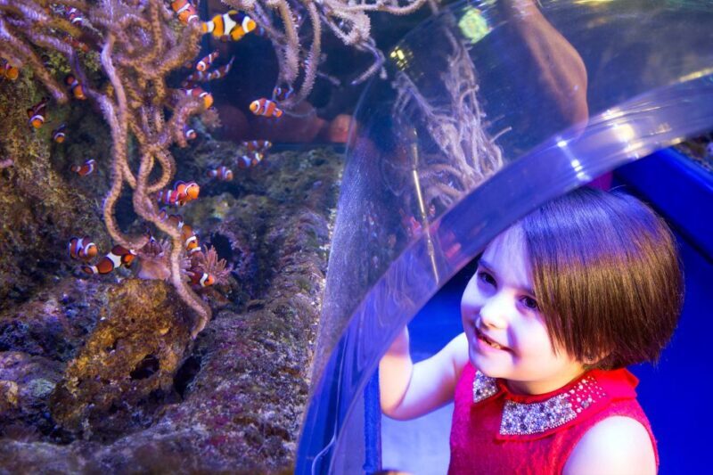 Birmingham: National Sea Life Centre Entrance Ticket - FAQ