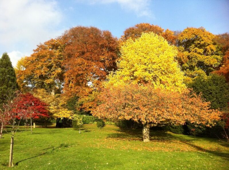 Birmingham: Winterbourne House and Garden Admission Ticket - Final Thoughts