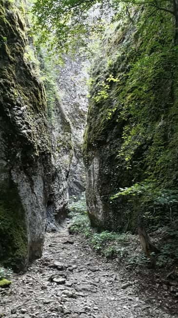 Birtvisi Canyon: One Day Hiking Tour - An In-Depth Look at the Birtvisi Canyon Hiking Tour