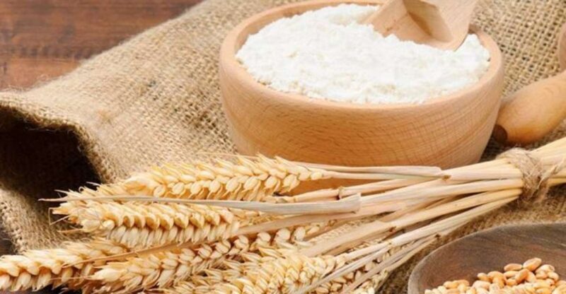 Bisacquino: Grandpa Mommo's Mill Tour - An In-Depth Look at Grandpa Mommo’s Mill Tour