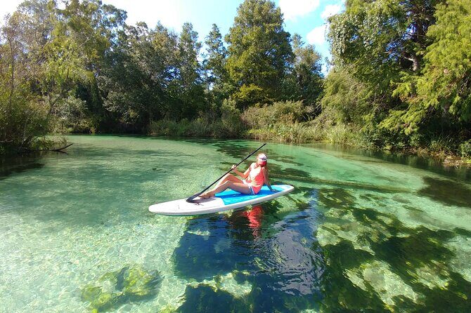 Biscayne Bay Island and Nature Exploration - Water Activities: Paddleboarding & Kayaking