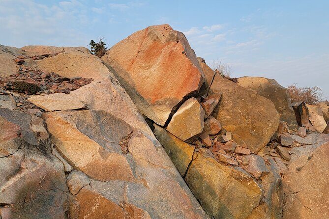 Bison Highway Road Tour - Final Thoughts