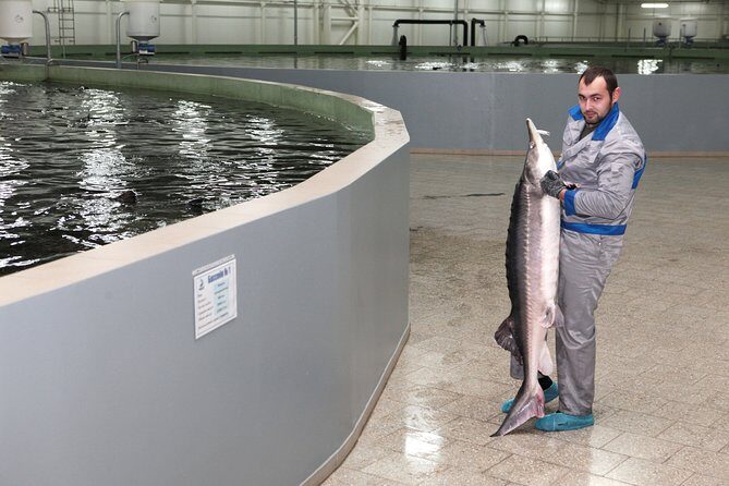 Black Caviar and Sparkling Wine Tour - Who Should Consider This Tour?