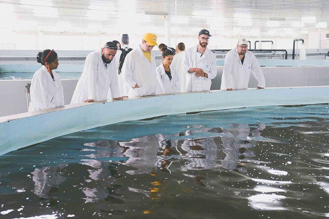 Black Caviar and Sparkling Wine Tour - Final Thoughts